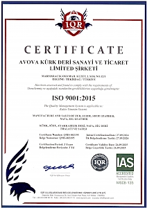 ISO 9001:2015