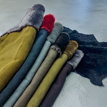 Alp - Fransız Merino