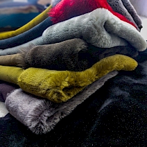 Alp - Fransız Merino