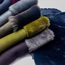 Alp - Fransız Merino