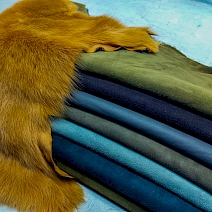 Alp - Fransız Merino