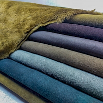 Alp - Fransız Merino