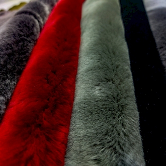 Alp - Fransız Merino