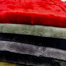 Alp - Fransız Merino