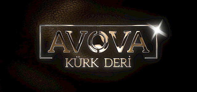 Logo Animasyonumuz