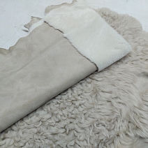 Toskana - Alp Merino