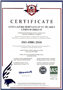 ISO 45001:2018