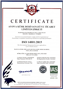 ISO 14001:2015
